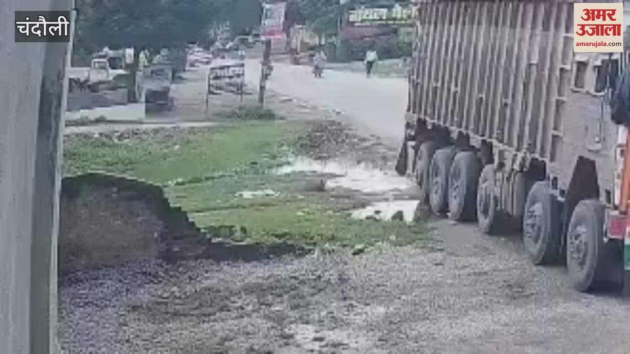 peepal branch fell on an auto rickshaw full of passengers video of accident