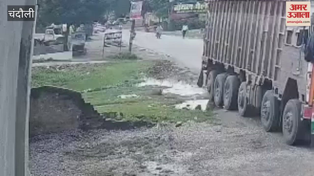 peepal branch fell on an auto rickshaw full of passengers video of accident
