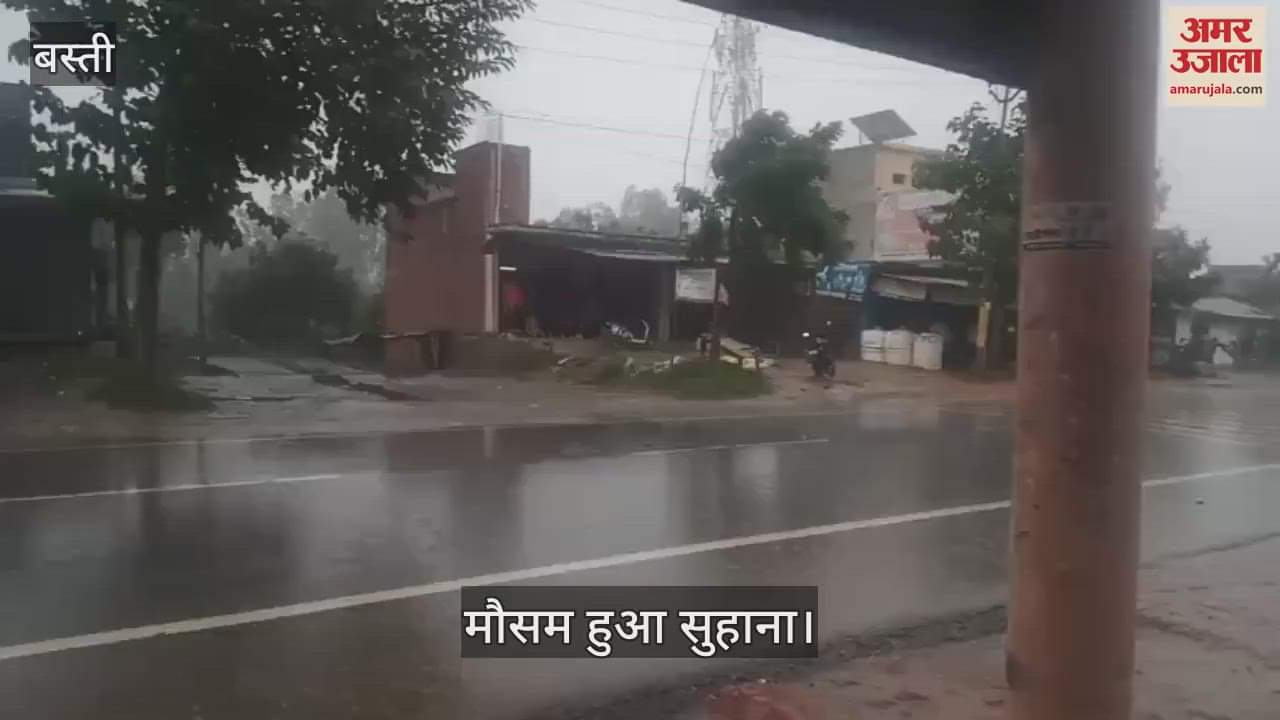 The rain made the weather pleasant, clouds remained overcast