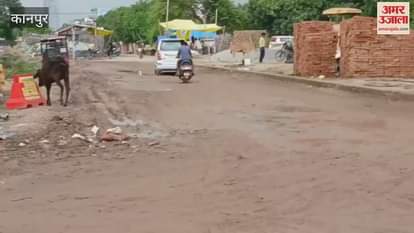 dilapidated condition of Bagiya Crossing Road, people are facing problems