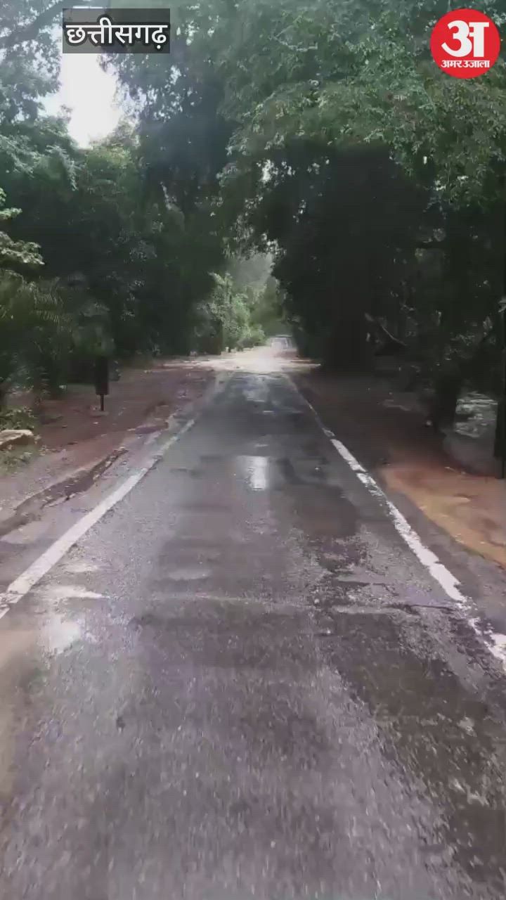 इस लापरवाही की वजह से मौत के गाल में समा गये चार लोग, तेज बहाव में बही कार, देखें वीडियो