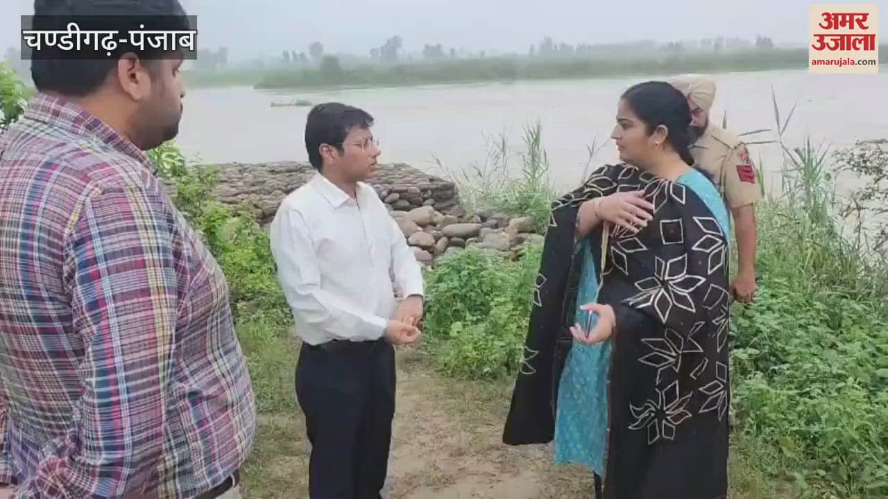 Deputy Commissioner in Ferozepur inspected the Dhussi Dam built on the Sutlej River