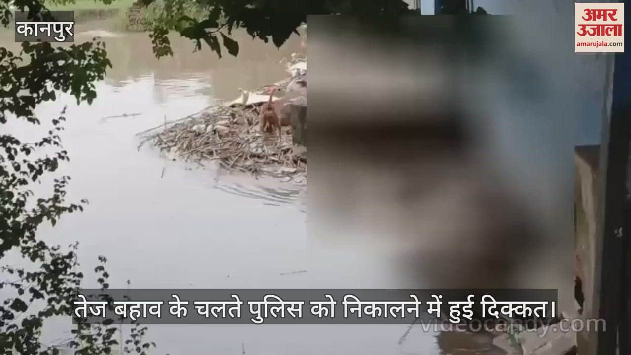 कानपुर में पनकी पावर हाउस के पास नहर में मिला अज्ञात शव
