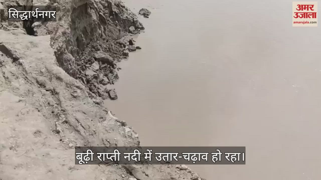 People are in panic due to cutting of Budhi Rapti