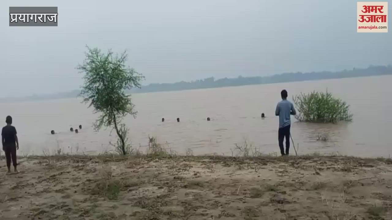 पैर फिसलने से यमुना की तेज धारा में बही वृद्धा, पुलिस और गोताखोर खोजबीन में जुटे