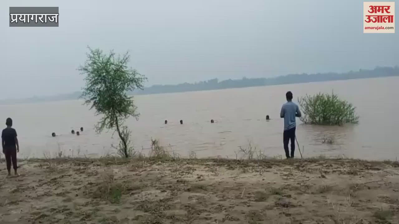 पैर फिसलने से यमुना की तेज धारा में बही वृद्धा, पुलिस और गोताखोर खोजबीन में जुटे