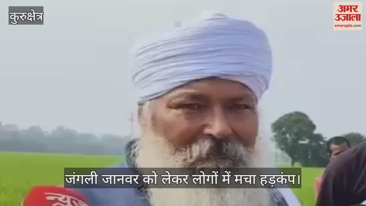 There was a stir among the people about the wild animal