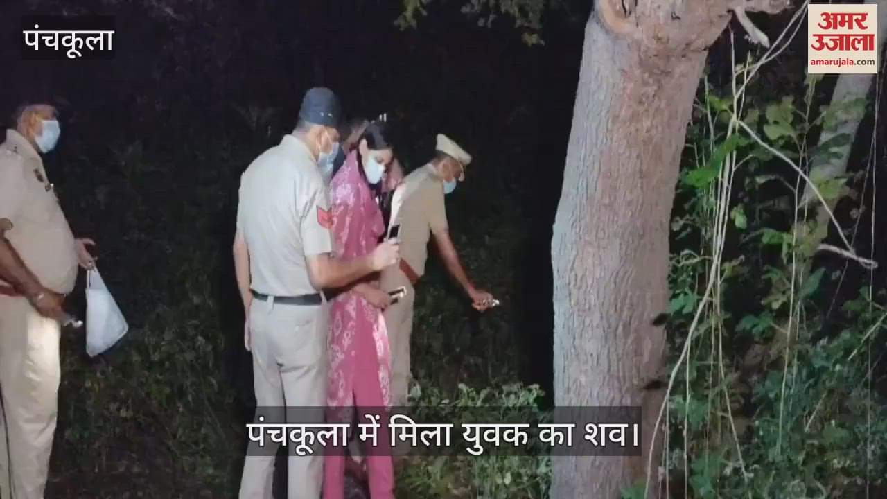 Dead body of a youth found in Panchkula