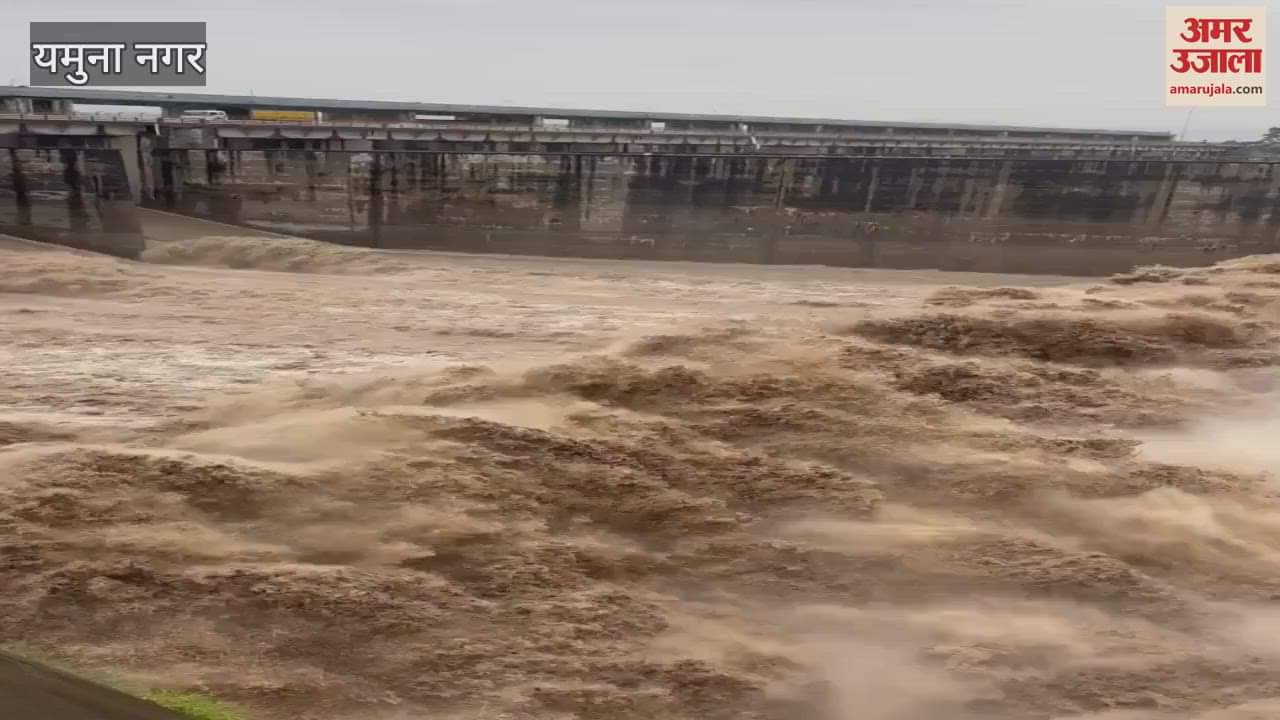 Yamuna water level increased in Yamunanagar, 18 gates opened again; threat of flood in Delhi