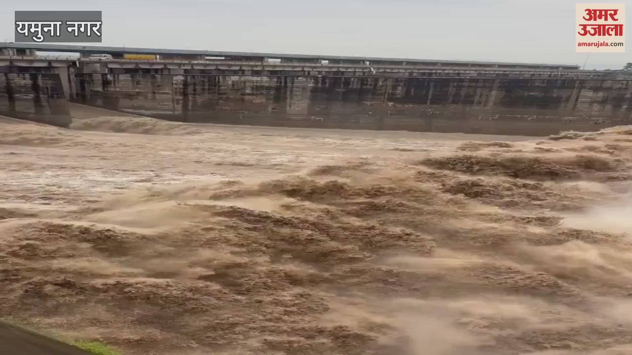 Yamuna water level increased in Yamunanagar, 18 gates opened again; threat of flood in Delhi