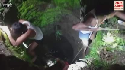 Jhansi: Villagers rescued a cow, watch the video