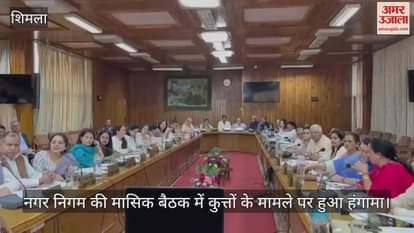 Uproar over dogs issue in monthly meeting of Municipal Corporation
