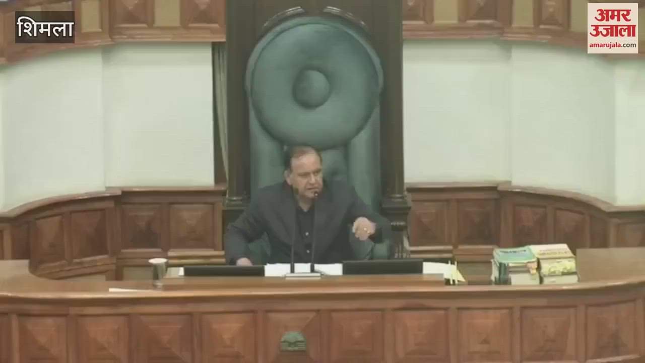 Shimla Hamirpur MLA Ashish Sharma said Government should not postpone municipal elections elections should be held soon