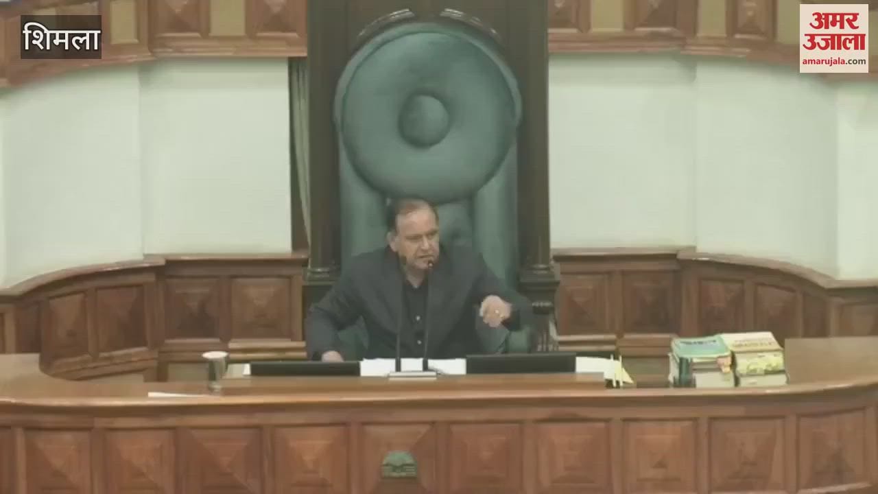 Shimla Hamirpur MLA Ashish Sharma said Government should not postpone municipal elections elections should be held soon