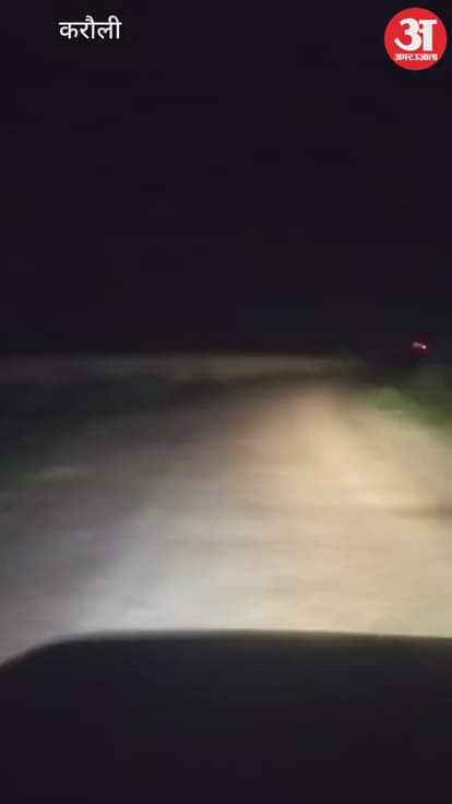 Panther knocks in large area of Fondaya, villagers and passers-by in panic