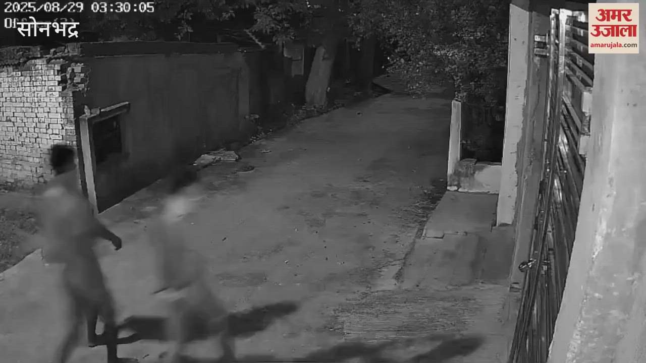 Thieves broke into a closed house CCTV VIDEO