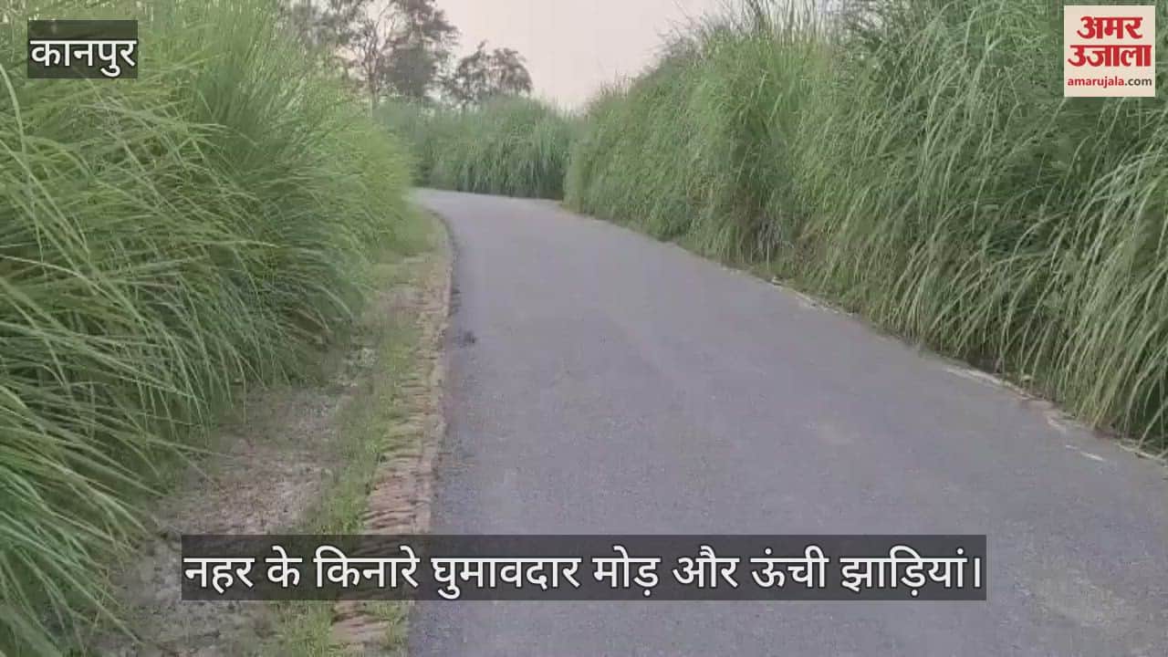 कानपुर में बरईगढ़ नहर के पास ऊंची झाड़ियों से बढ़ रहा हादसों का खतरा