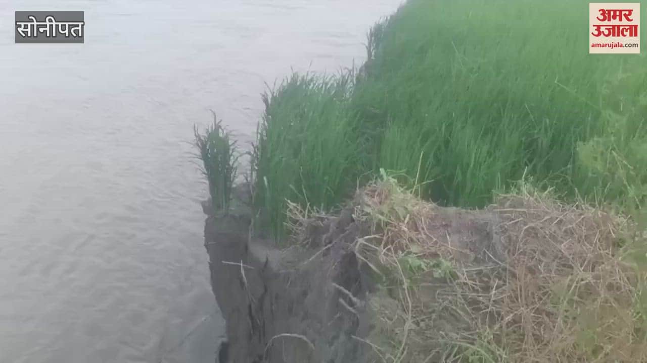 Due to flood in Yamuna in Sonipat, land erosion up to 20 feet, huge loss in agriculture