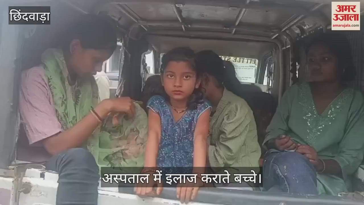 Teeja immersion stirs up at Teeja VisarjanBees attack ghat, 24 women and children injured