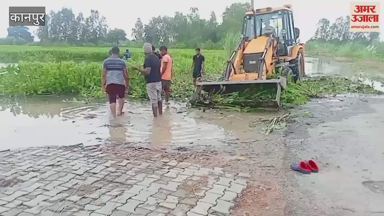 Municipality got the immersion site Gagnikheda lake cleaned