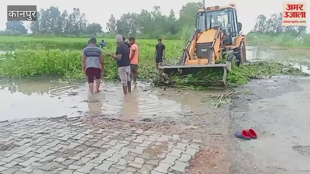 Municipality got the immersion site Gagnikheda lake cleaned