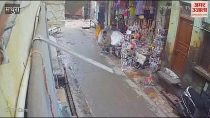 vrindavan bulls fight police escape viral video