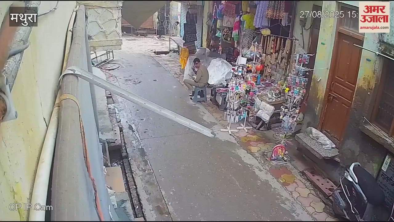 vrindavan bulls fight police escape viral video