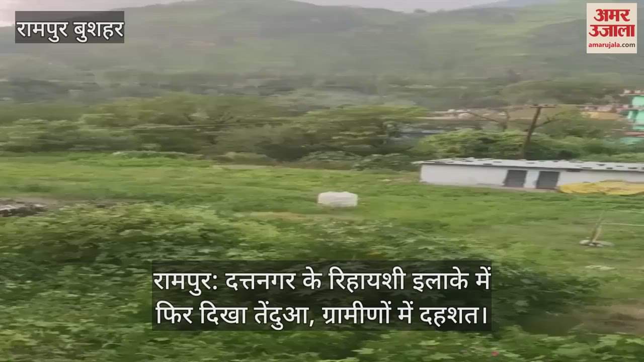 Leopard seen again in the residential area of Duttnagar, panic among villagers