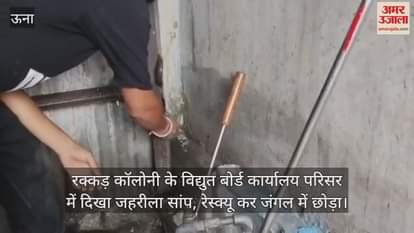 poisonous snake was seen in the premises of the Electricity Board office in Rakkad Colony