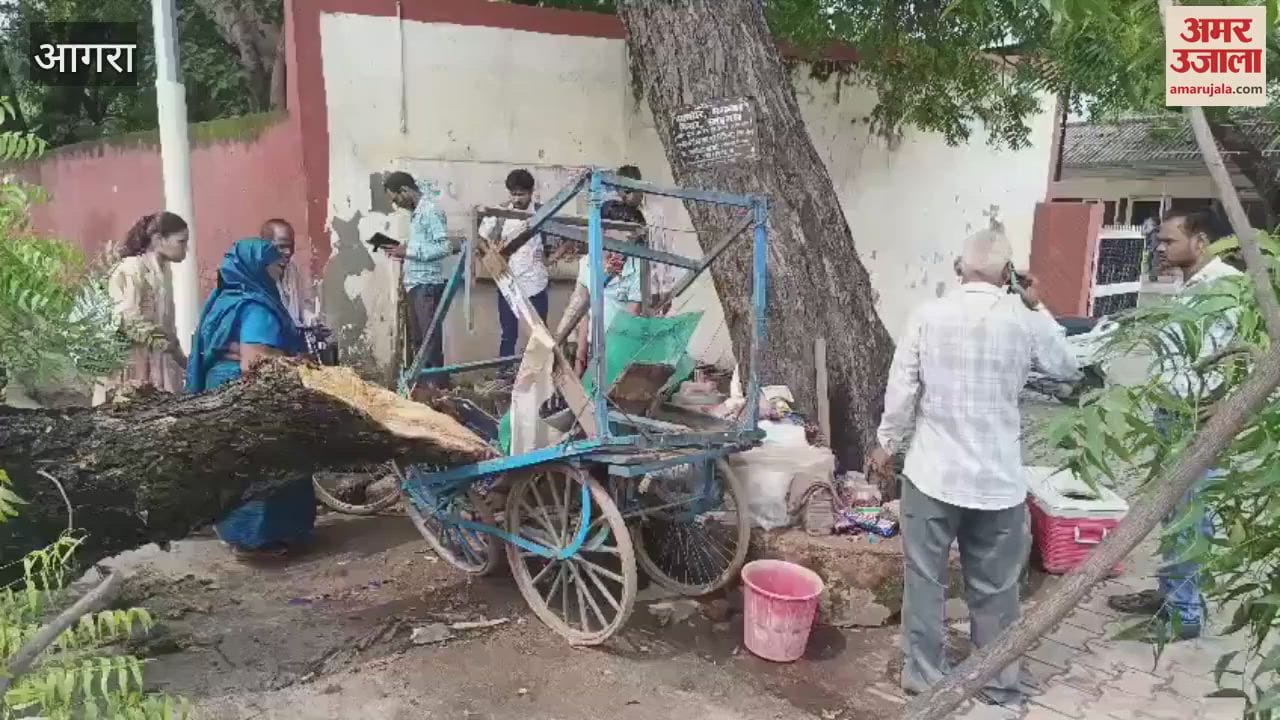 agra tree falls on car jivni mandi road traffic jam