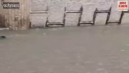 Due to rain in Fatehabad, low lying areas of Tohana got submerged