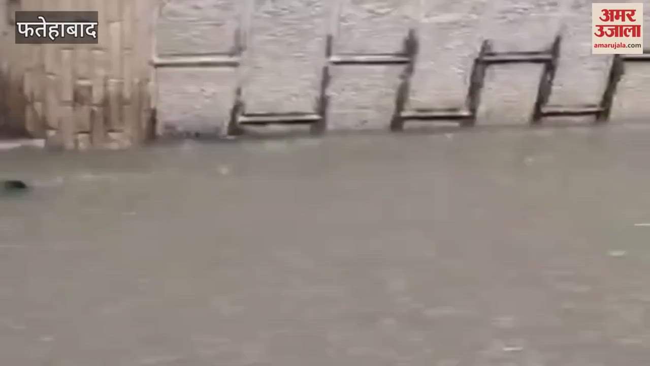 Due to rain in Fatehabad, low lying areas of Tohana got submerged