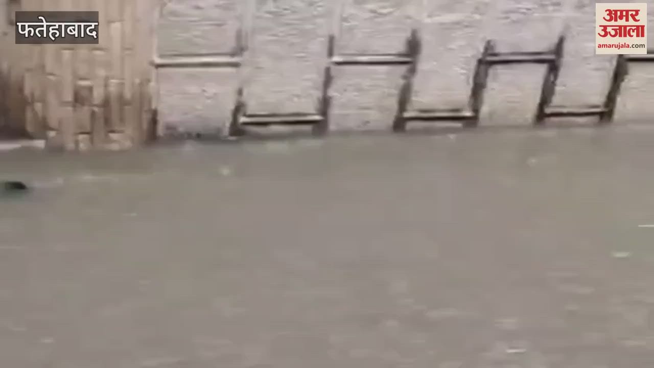 Due to rain in Fatehabad, low lying areas of Tohana got submerged