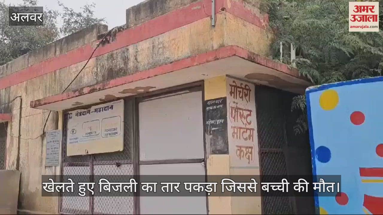 Alwar News: 2-Year-Old Girl Dies of Electrocution After Touching Live Wire While Playing, Village in Mourning