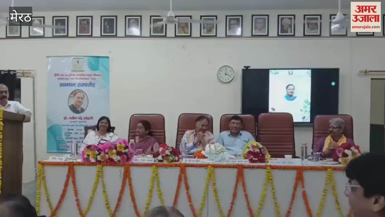 Meerut: Discussion on the changing nature of Hindi