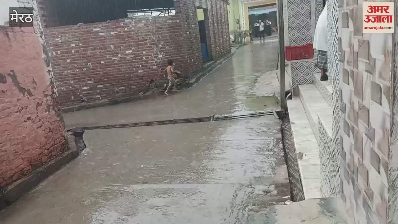 Meerut: Farmers happy with heavy rain in Sarurpur