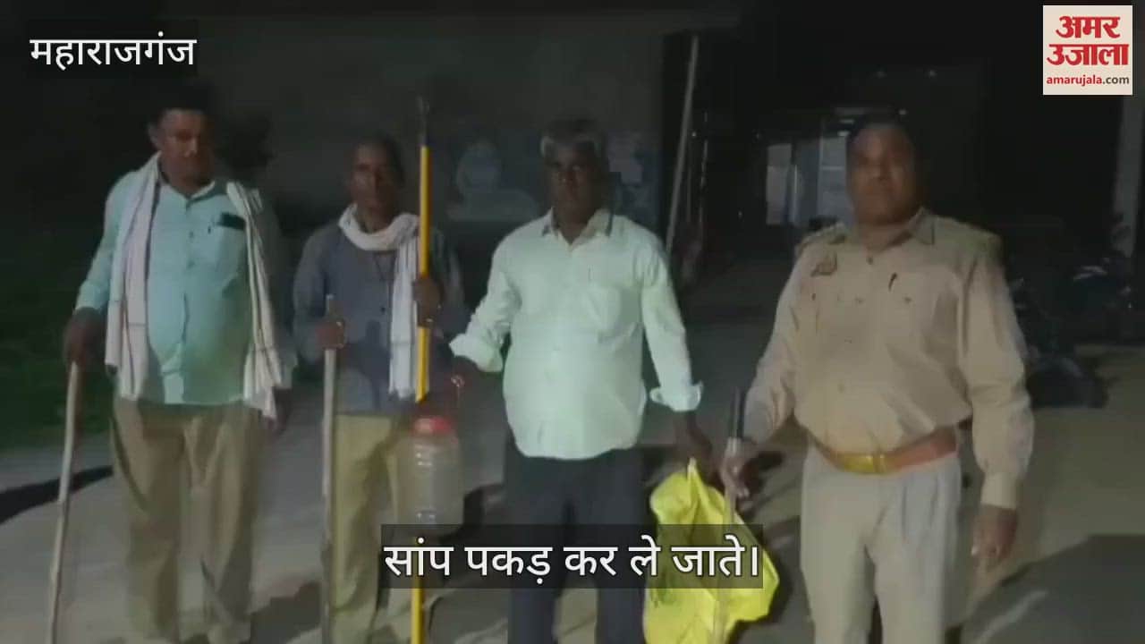 A poisonous snake entered the house, causing commotion in the house late at night