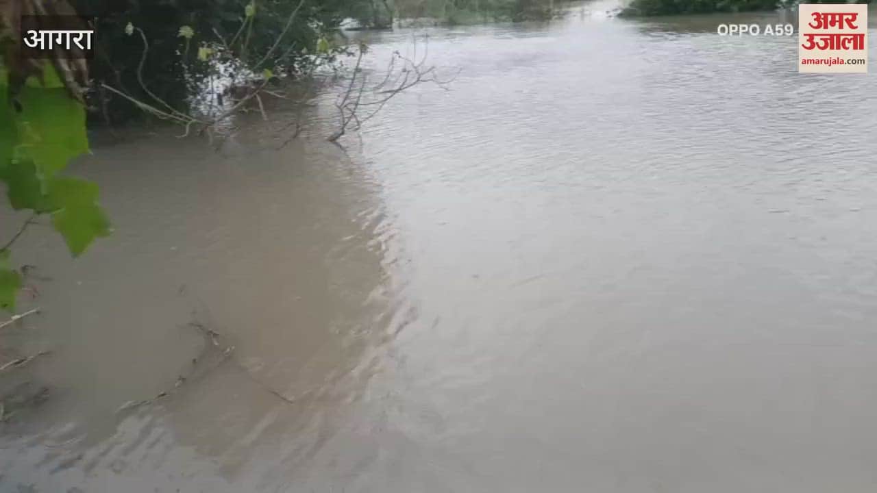 Yamuna water level increased in Agra