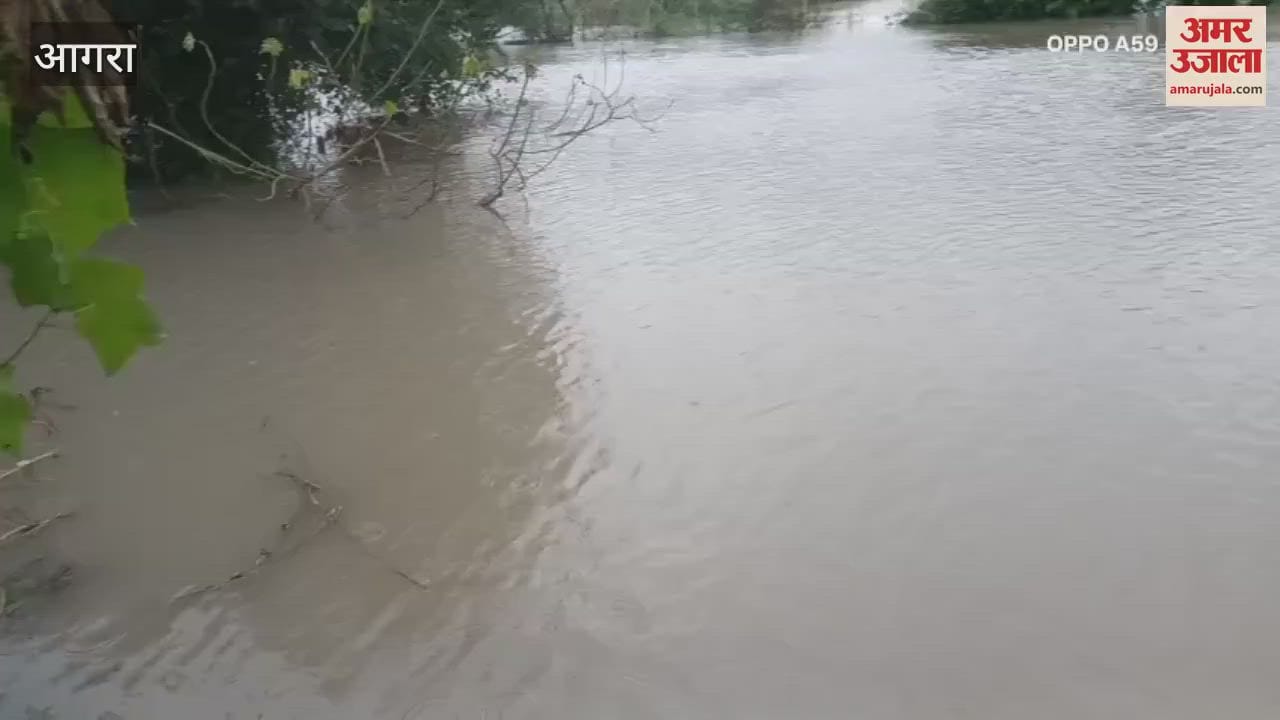 Yamuna water level increased in Agra