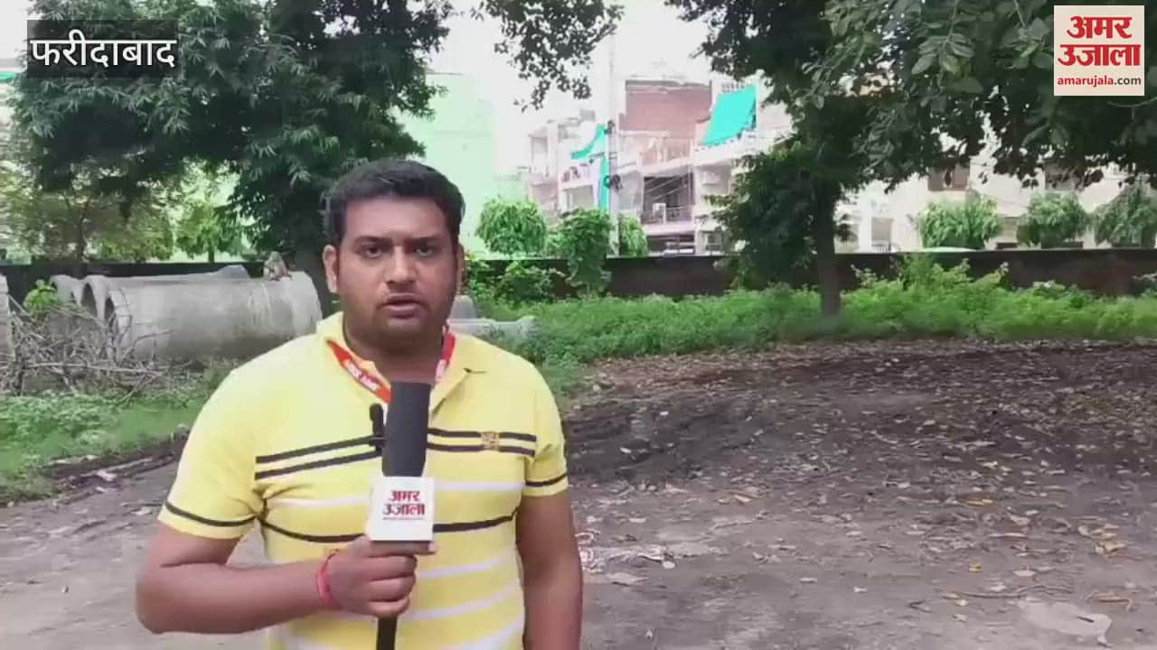 Municipal Corporation caught monkeys from Sector 15 of Faridabad