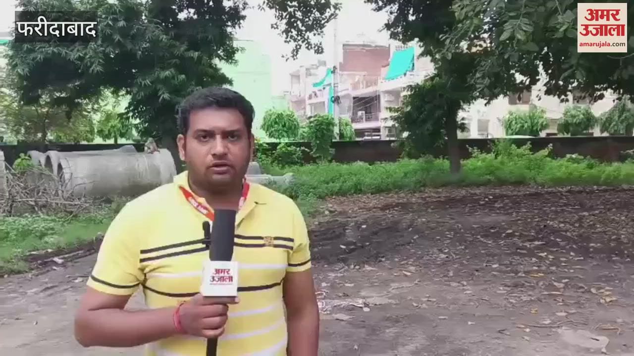 Municipal Corporation caught monkeys from Sector 15 of Faridabad