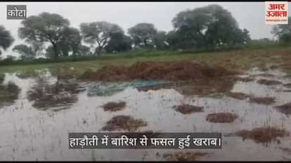 Kota News: Double Blow of Heavy Rain and Floods, Crops Ruined in Hadoti, Farmers Struggle in Despair