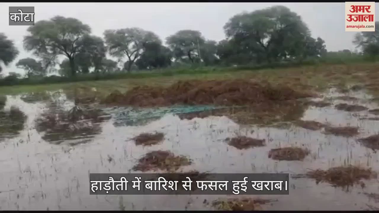 Kota News: Double Blow of Heavy Rain and Floods, Crops Ruined in Hadoti, Farmers Struggle in Despair