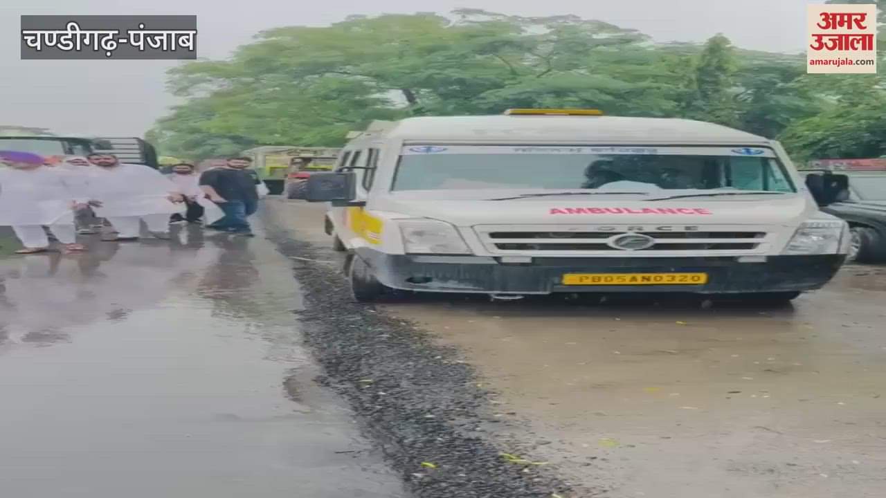 Animal fodder distributed to people of flood affected villages of Ferozepur