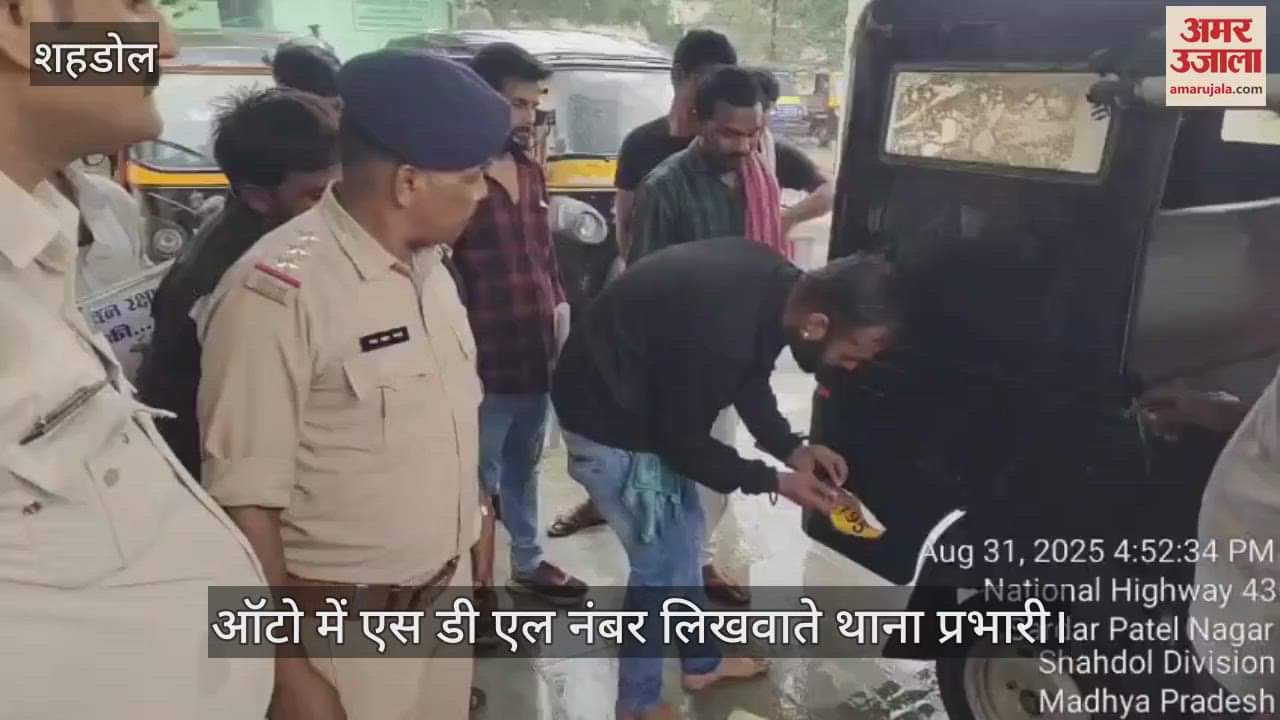 Shahdol News: Drivers will have to get SDL number written to drive auto on the road