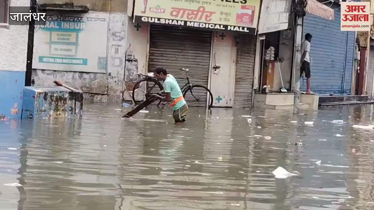 Due to heavy rain in Jalandhar, many areas got flooded