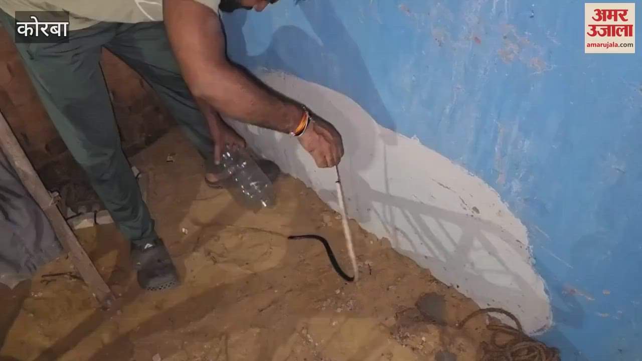 Two twin brothers sleeping on a cot and one was bitten by a krait snake