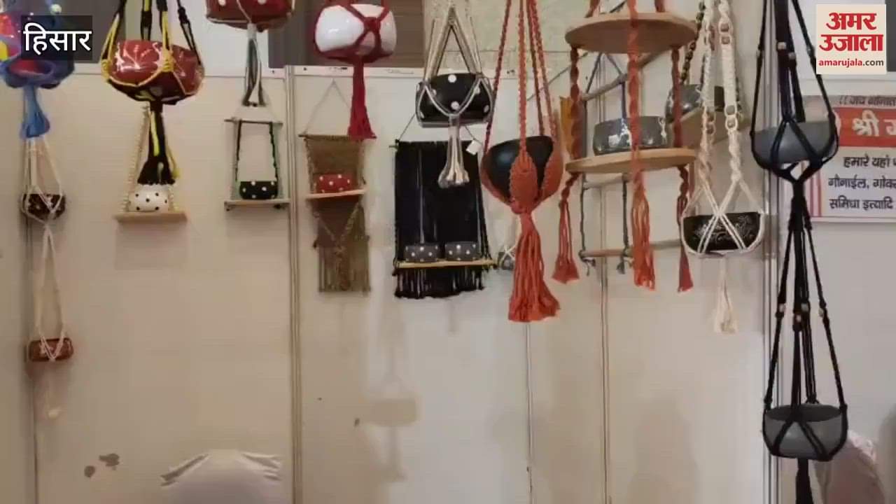 Renuka of Hisar turned her hobby into a business, doing crafting business from home