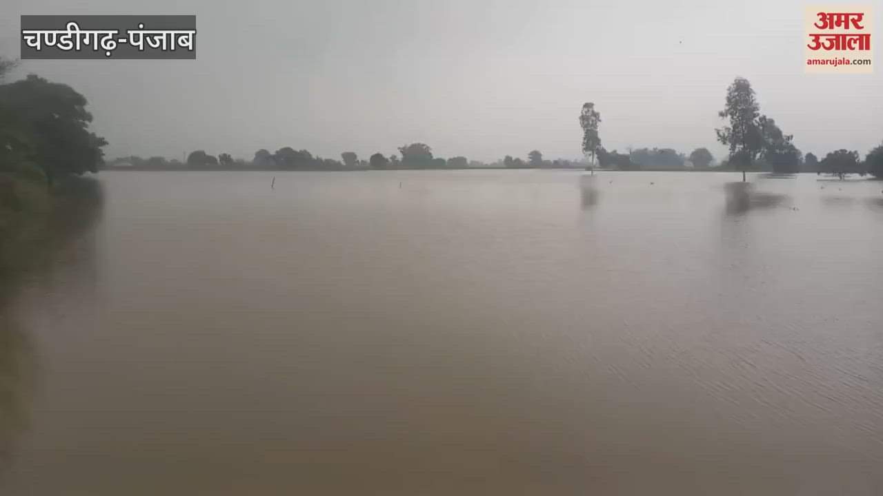 250 acres of crops in Setha Wala and Dona Rehmat Wala villages of Mamdot block got submerged