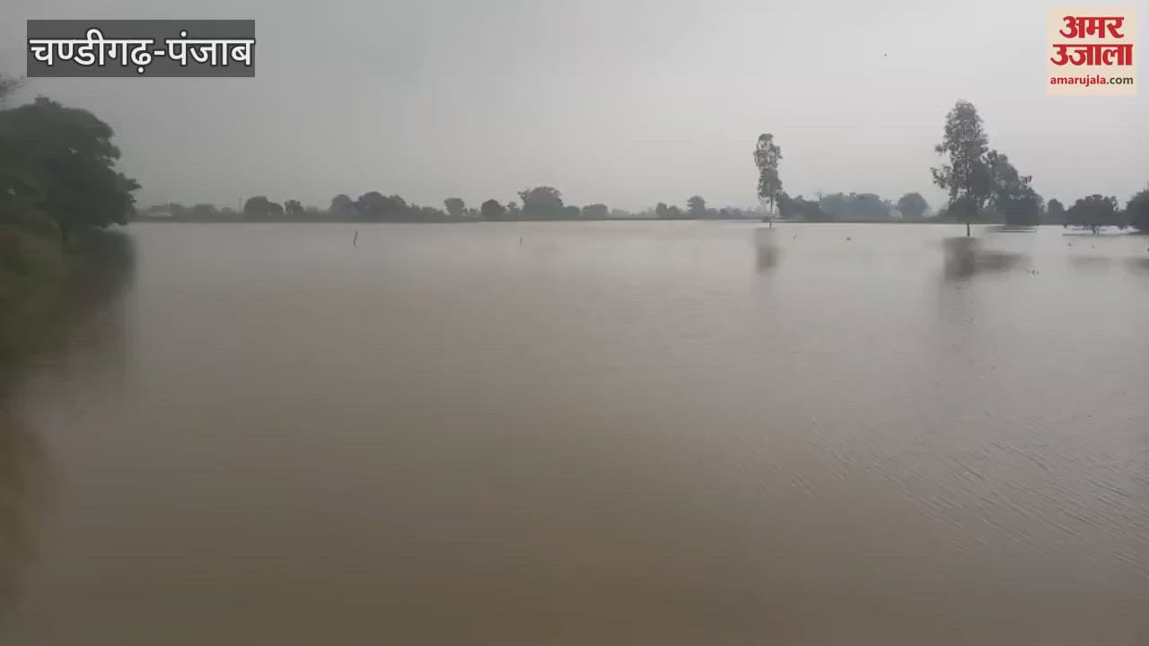 250 acres of crops in Setha Wala and Dona Rehmat Wala villages of Mamdot block got submerged